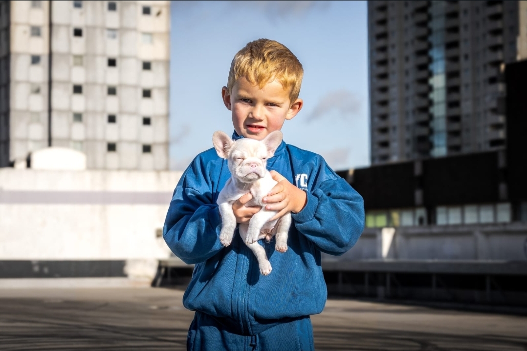 LUXELENS pet photography in London — Child holding a small white French Bulldog puppy against a London skyline