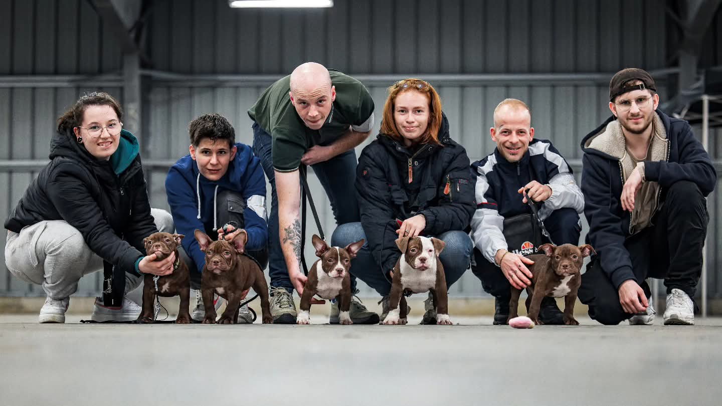 LUXELENS pet photography — Six owners crouched in a line with their bully breed puppies at floor level indoors
