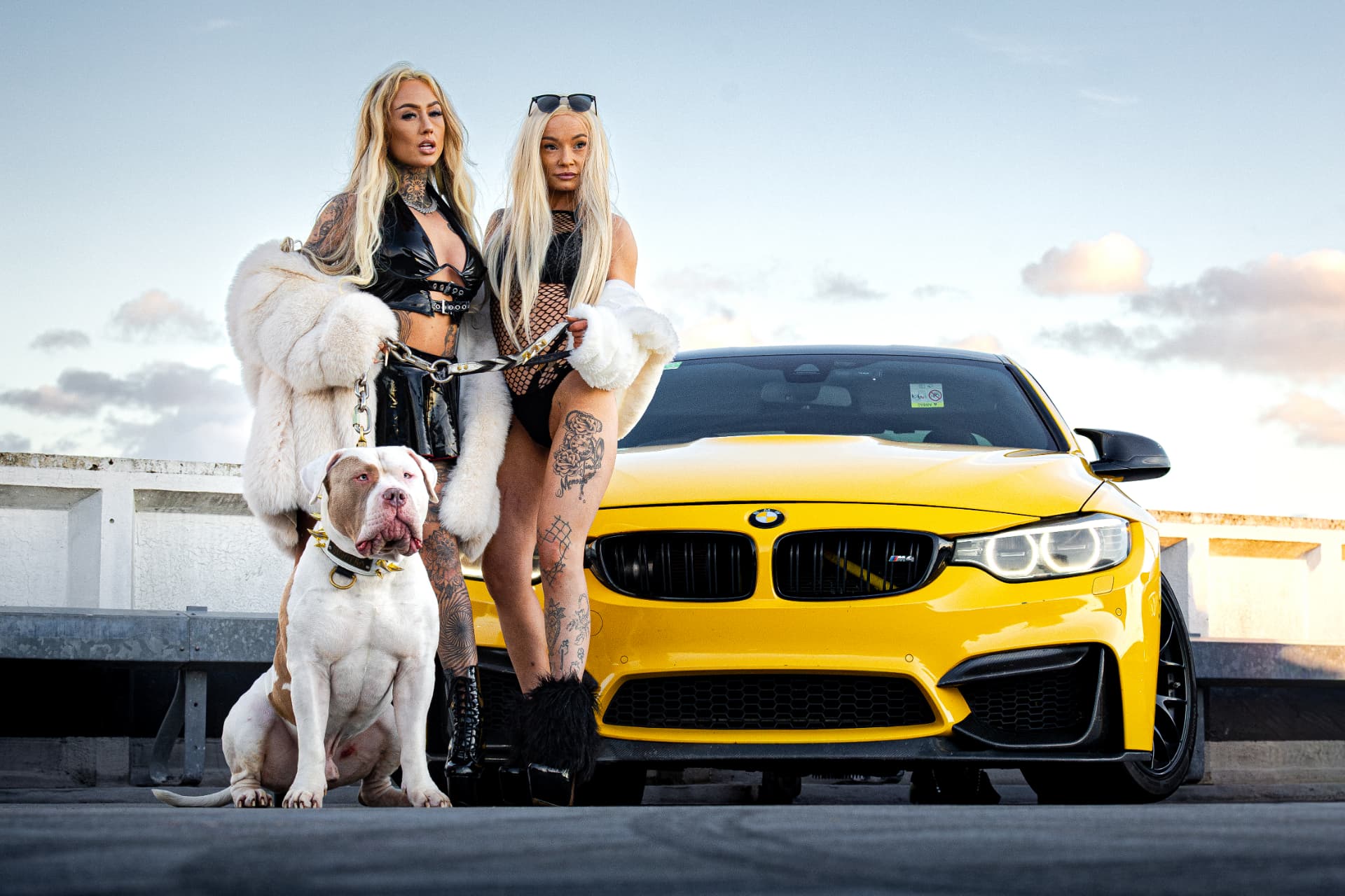 Two models posed with a white American Bully in front of a yellow BMW M4 at dusk